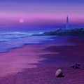 Peaceful Sunset